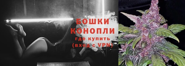 МДПВ Горно-Алтайск