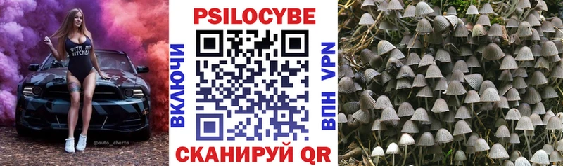 Галлюциногенные грибы ЛСД Купить где Сегежа