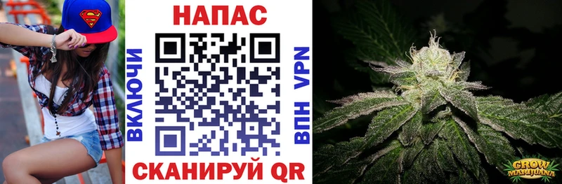 МАРИХУАНА White Widow  Купить  Сегежа 